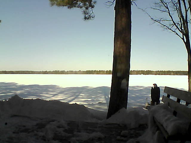 Whiteface Cam Image - Sat, 03/03/2018 9:45am 