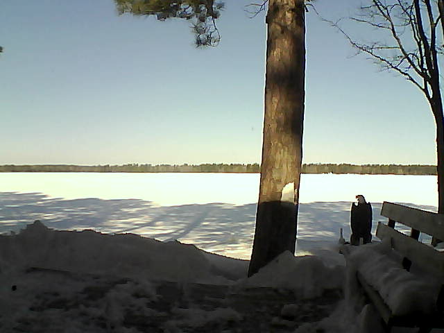 Whiteface Cam Image - Sat, 03/03/2018 9:55am 