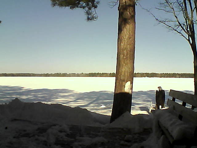 Whiteface Cam Image - Sat, 03/03/2018 10:05am 