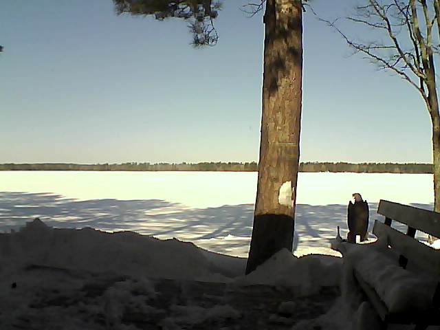 Whiteface Cam Image - Sat, 03/03/2018 10:15am 