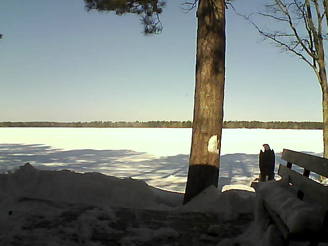 Whiteface Cam Image - Sat, 03/03/2018 10:25am 