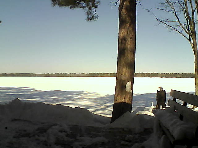 Whiteface Cam Image - Sat, 03/03/2018 10:35am 