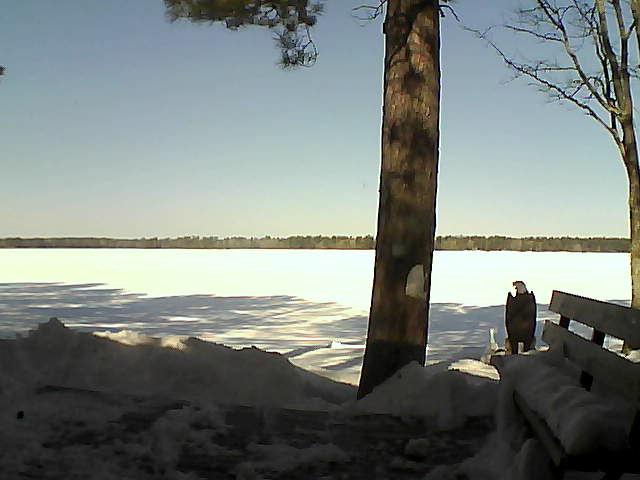 Whiteface Cam Image - Sat, 03/03/2018 10:45am 