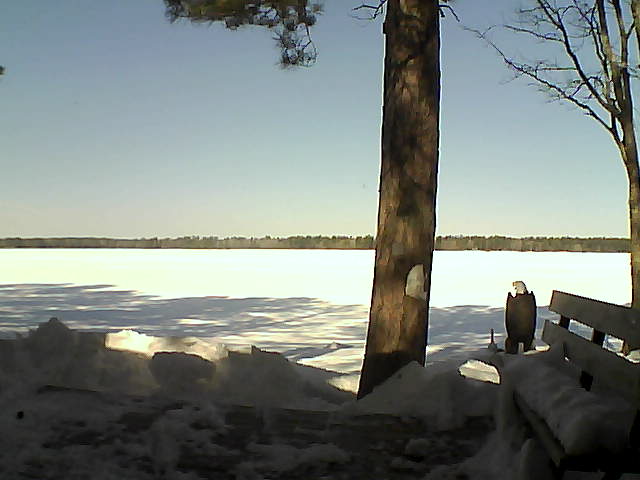 Whiteface Cam Image - Sat, 03/03/2018 10:55am 