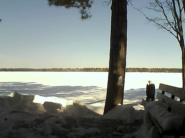 Whiteface Cam Image - Sat, 03/03/2018 11:05am 