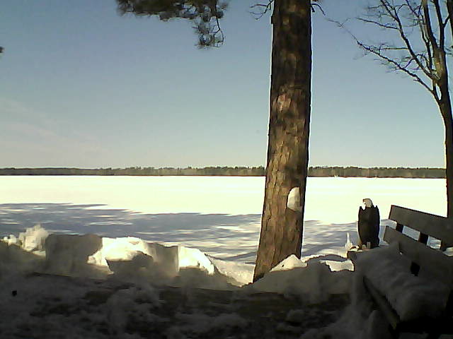 Whiteface Cam Image - Sat, 03/03/2018 11:25am 