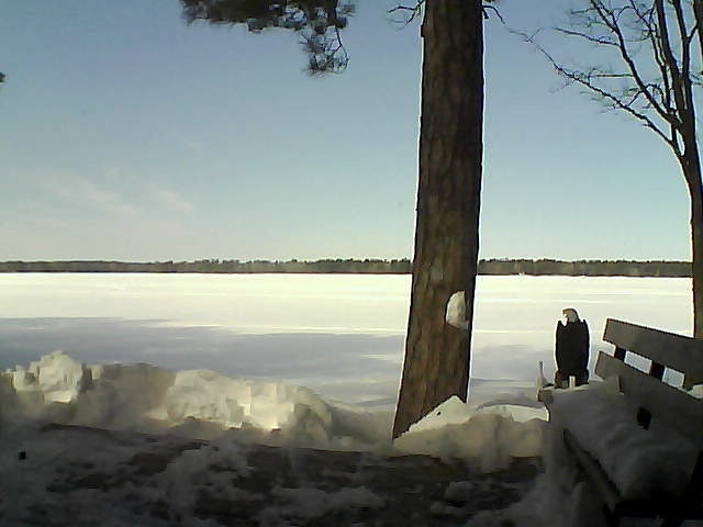 Whiteface Cam Image - Sat, 03/03/2018 11:35am 