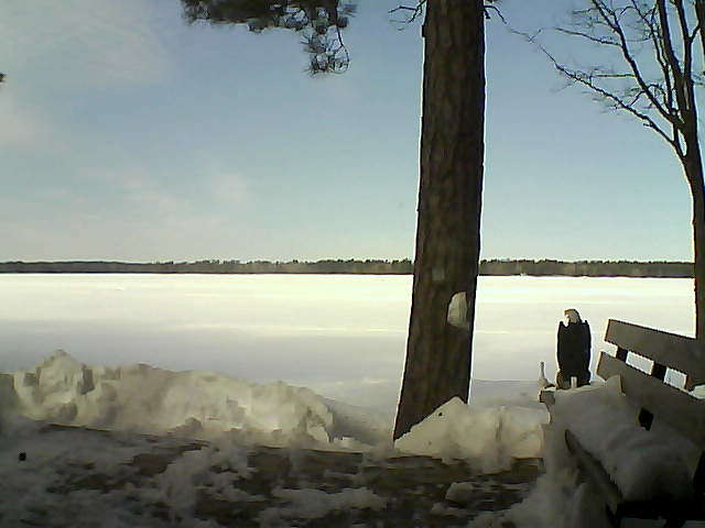 Whiteface Cam Image - Sat, 03/03/2018 11:45am 