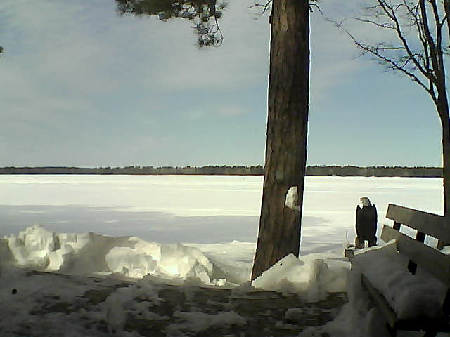 Whiteface Cam Image - Sat, 03/03/2018 11:55am 