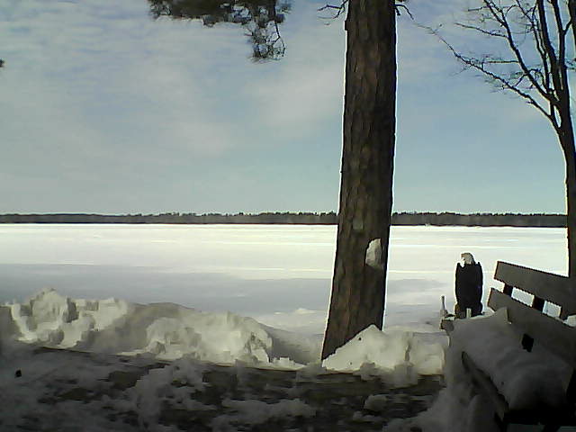 Whiteface Cam Image - Sat, 03/03/2018 12:05pm 