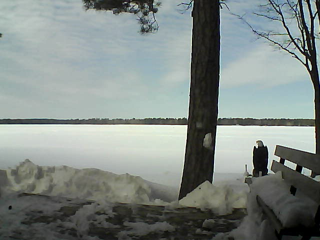 Whiteface Cam Image - Sat, 03/03/2018 12:15pm 