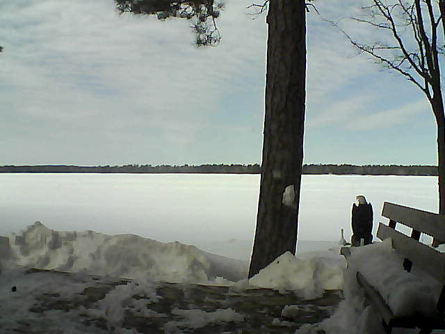 Whiteface Cam Image - Sat, 03/03/2018 12:25pm 