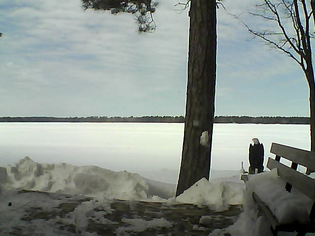 Whiteface Cam Image - Sat, 03/03/2018 12:35pm 