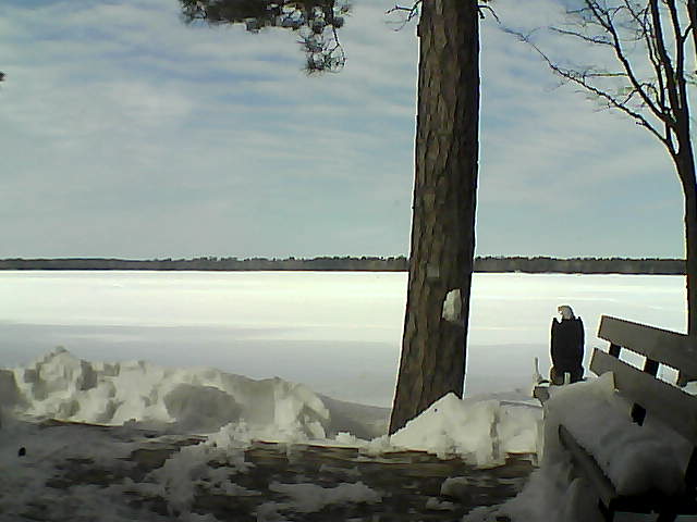 Whiteface Cam Image - Sat, 03/03/2018 12:45pm 