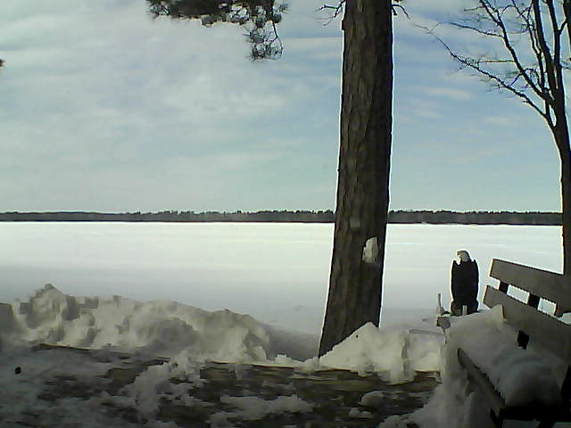 Whiteface Cam Image - Sat, 03/03/2018 12:55pm 