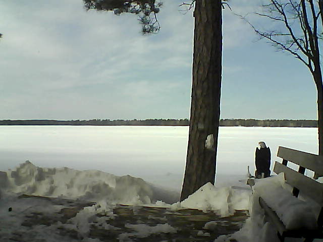 Whiteface Cam Image - Sat, 03/03/2018 1:05pm 