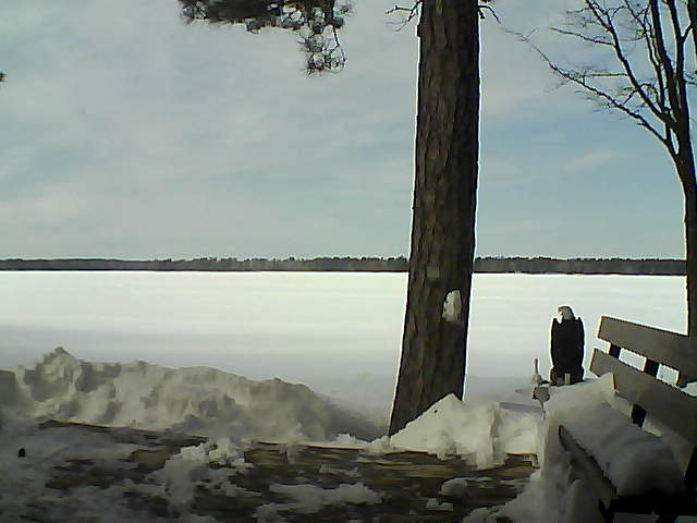 Whiteface Cam Image - Sat, 03/03/2018 1:15pm 