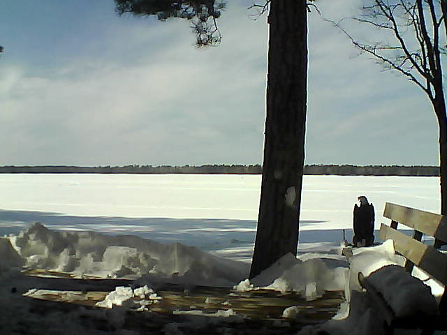 Whiteface Cam Image - Sat, 03/03/2018 1:45pm 