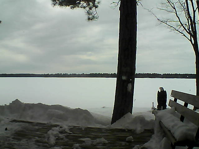 Whiteface Cam Image - Sat, 03/03/2018 2:55pm 