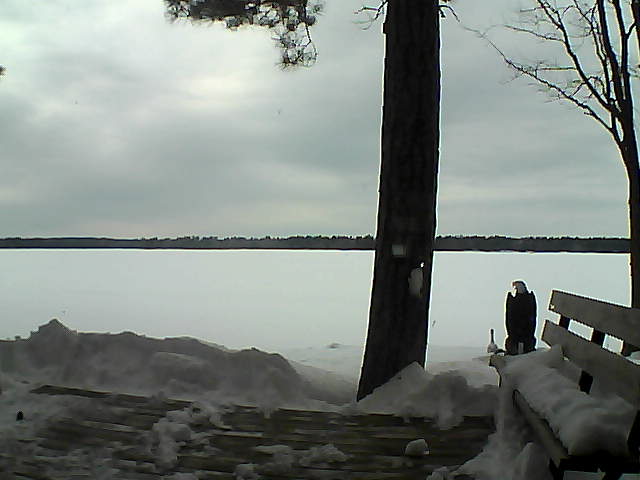 Whiteface Cam Image - Sat, 03/03/2018 3:05pm 