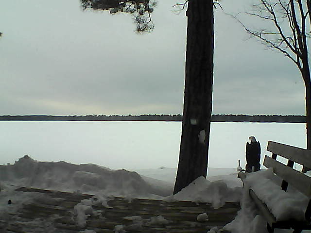 Whiteface Cam Image - Sat, 03/03/2018 3:35pm 