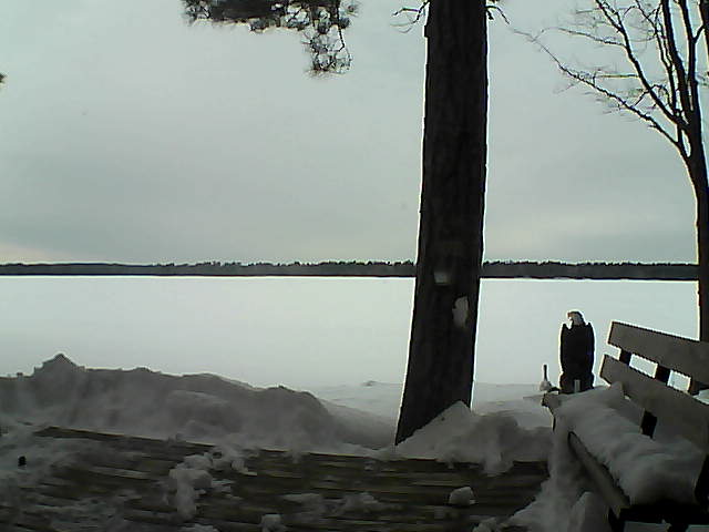 Whiteface Cam Image - Sat, 03/03/2018 4:05pm 