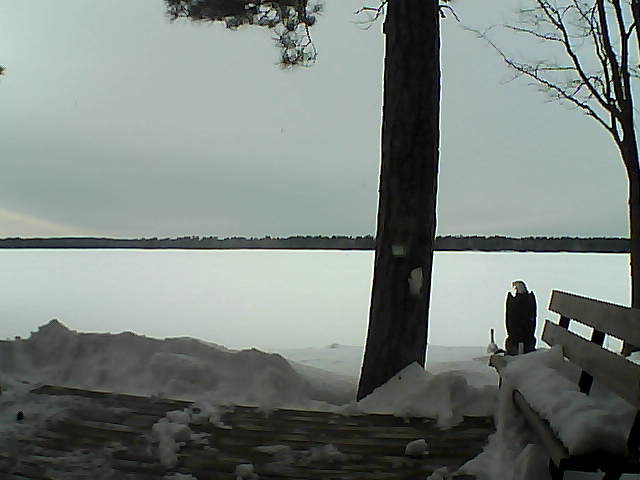 Whiteface Cam Image - Sat, 03/03/2018 4:15pm 