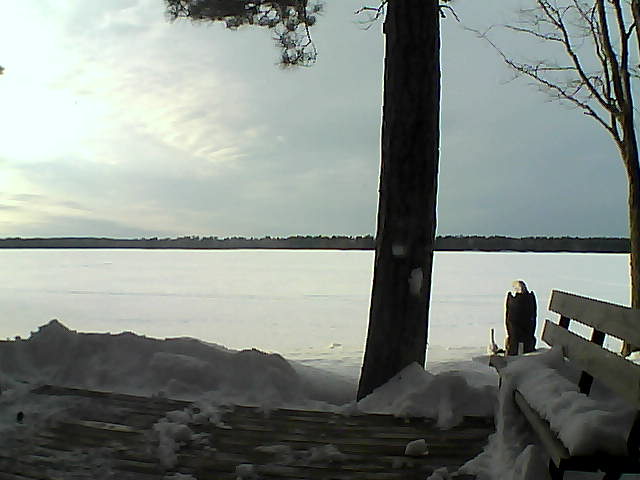 Whiteface Cam Image - Sat, 03/03/2018 5:05pm 