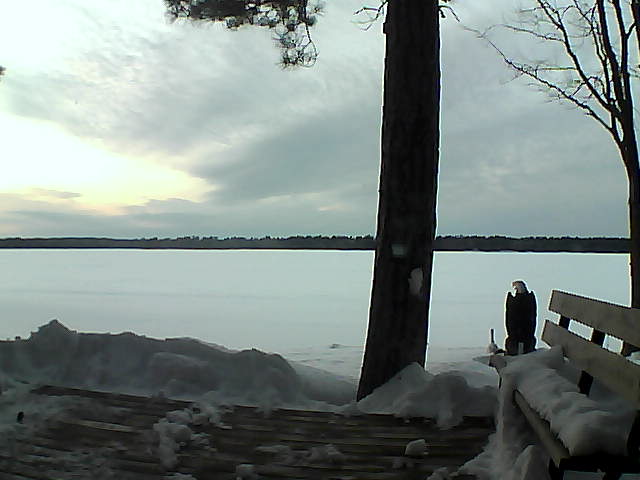 Whiteface Cam Image - Sat, 03/03/2018 5:45pm 