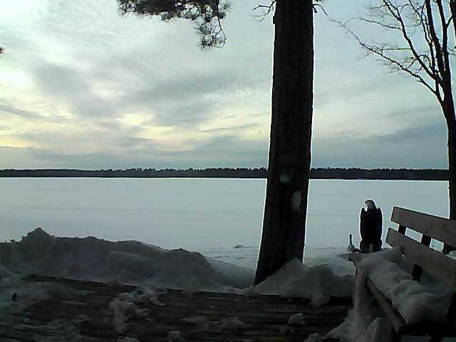 Whiteface Cam Image - Sat, 03/03/2018 6:05pm 