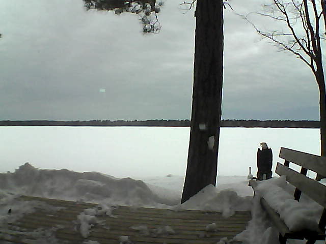 Whiteface Cam Image - Sun, 03/04/2018 6:35am 