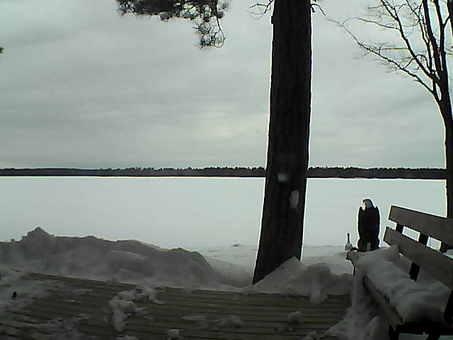 Whiteface Cam Image - Sun, 03/04/2018 7:45am 