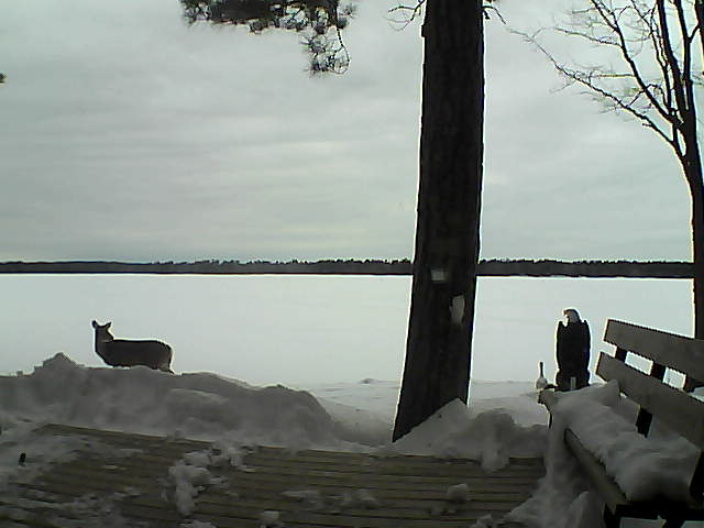 Whiteface Cam Image - Sun, 03/04/2018 7:55am 