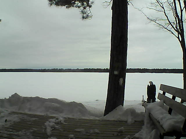 Whiteface Cam Image - Sun, 03/04/2018 8:05am 