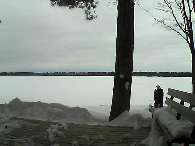 Whiteface Cam Image - Sun, 03/04/2018 8:16am 