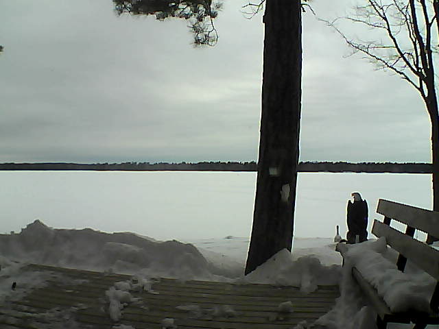 Whiteface Cam Image - Sun, 03/04/2018 8:26am 