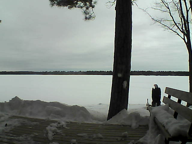 Whiteface Cam Image - Sun, 03/04/2018 8:36am 