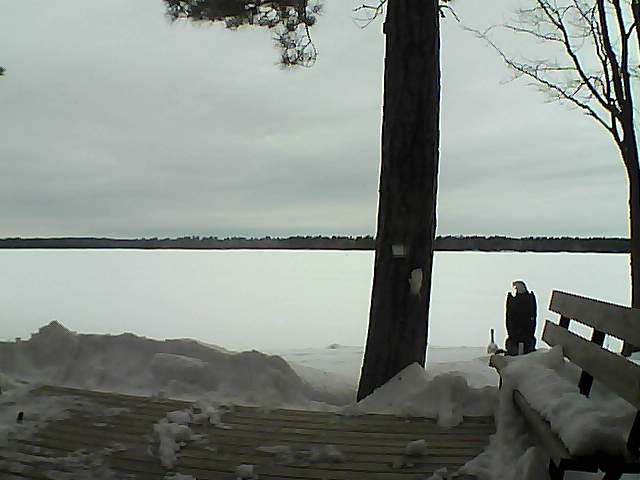 Whiteface Cam Image - Sun, 03/04/2018 8:46am 