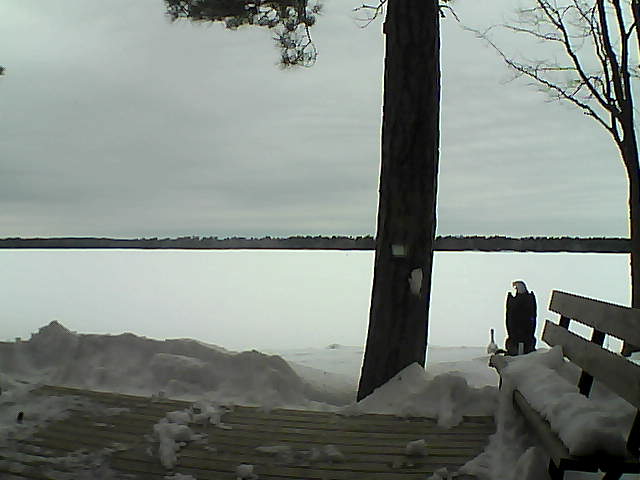 Whiteface Cam Image - Sun, 03/04/2018 8:56am 