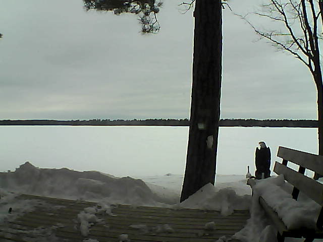 Whiteface Cam Image - Sun, 03/04/2018 9:16am 