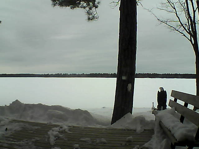 Whiteface Cam Image - Sun, 03/04/2018 9:36am 