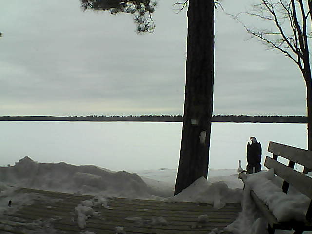 Whiteface Cam Image - Sun, 03/04/2018 9:56am 