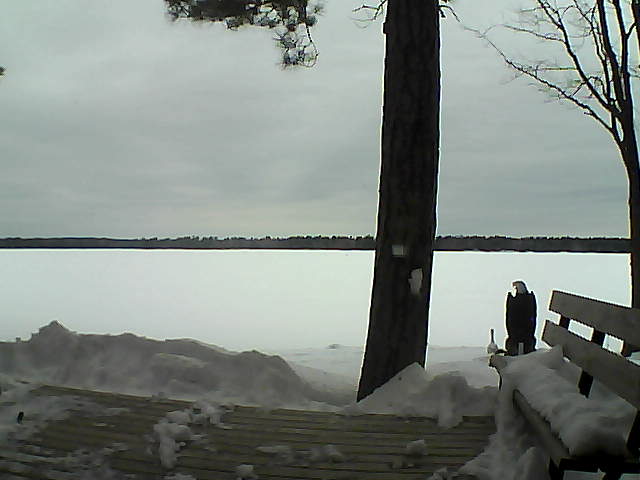 Whiteface Cam Image - Sun, 03/04/2018 10:46am 