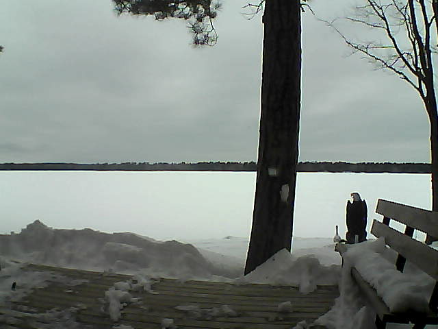 Whiteface Cam Image - Sun, 03/04/2018 11:26am 