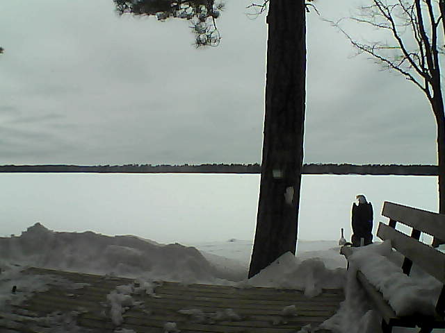 Whiteface Cam Image - Sun, 03/04/2018 11:36am 