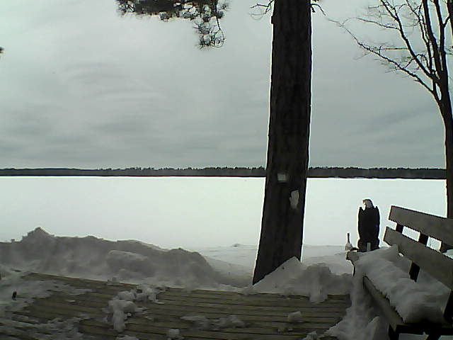 Whiteface Cam Image - Sun, 03/04/2018 11:46am 