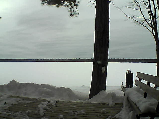 Whiteface Cam Image - Sun, 03/04/2018 11:56am 