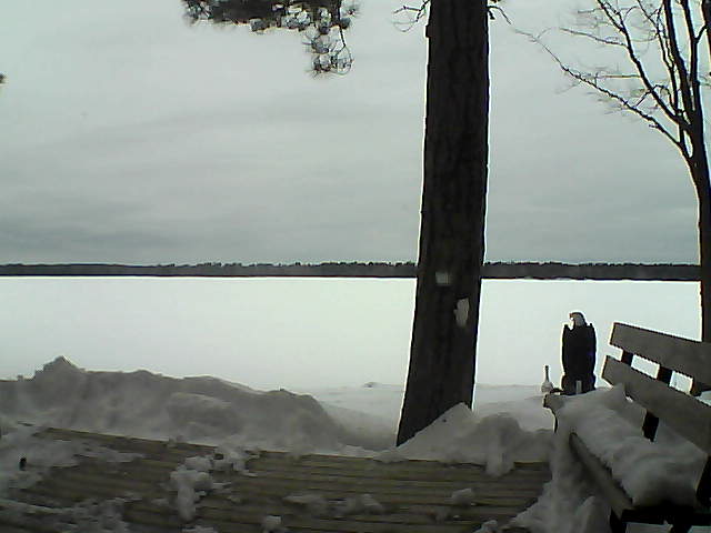 Whiteface Cam Image - Sun, 03/04/2018 12:16pm 