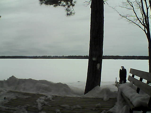 Whiteface Cam Image - Sun, 03/04/2018 12:26pm 