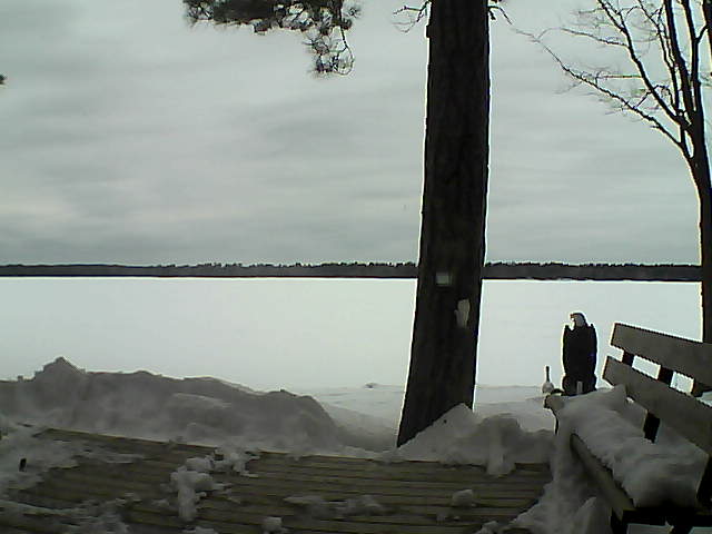 Whiteface Cam Image - Sun, 03/04/2018 12:36pm 